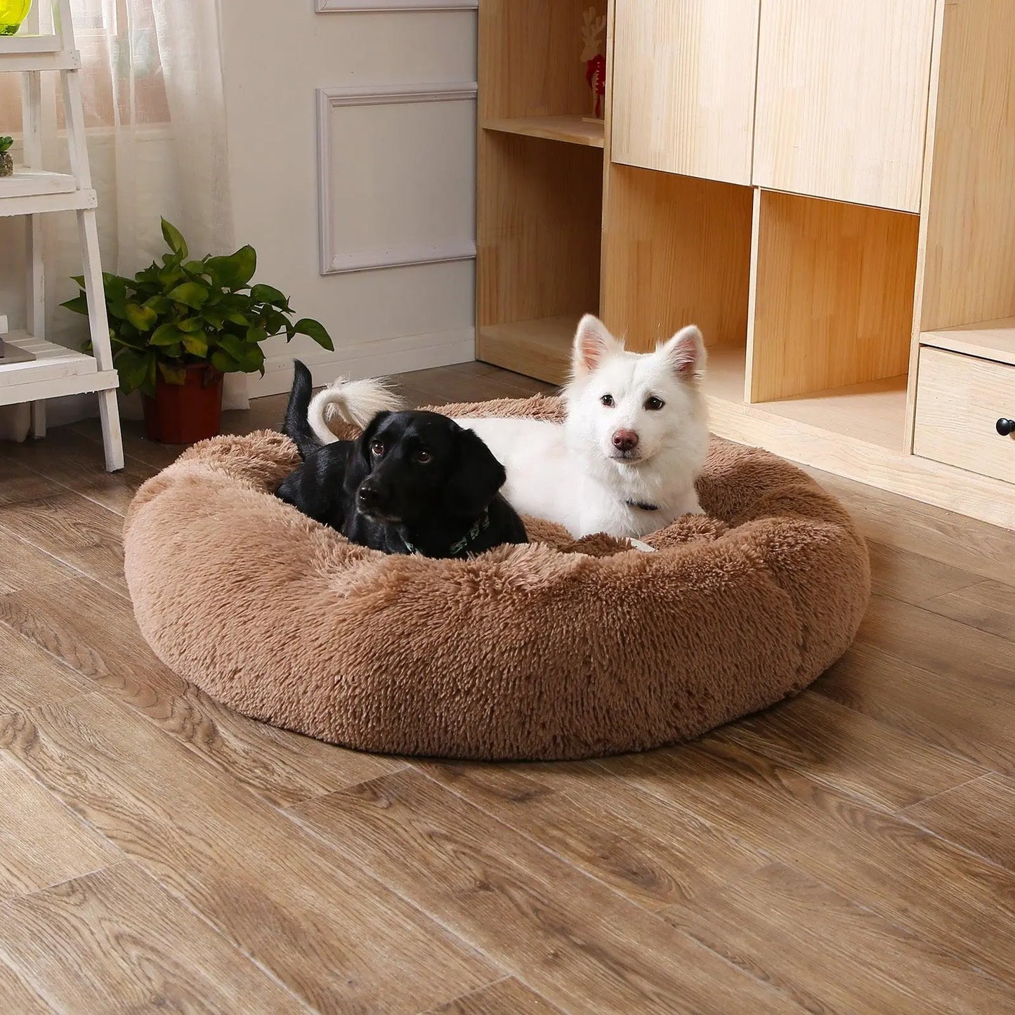 Paws Haven Pet Beds GOLDENTOUCH