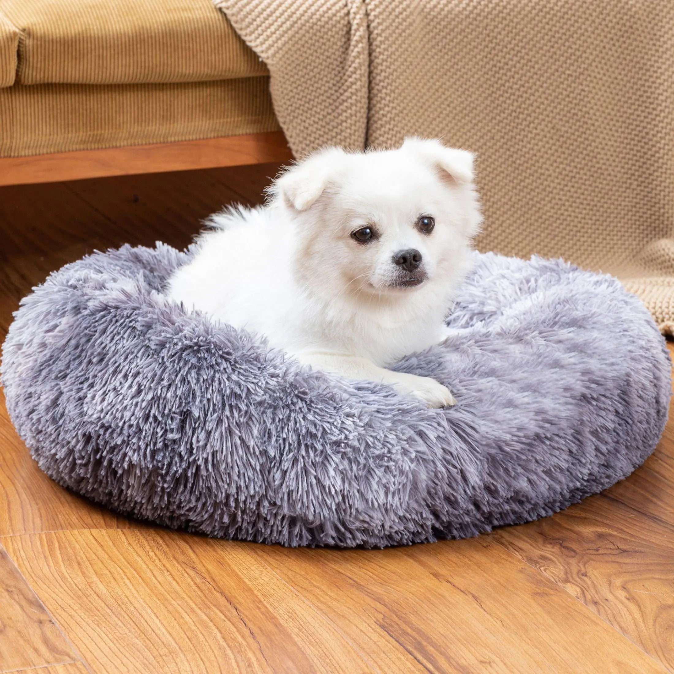 Paws Haven Pet Beds GOLDENTOUCH